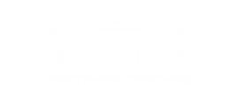 Endo Bridge